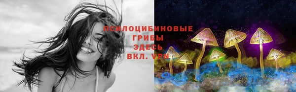 ГАЛЛЮЦИНОГЕННЫЕ ГРИБЫ Балахна