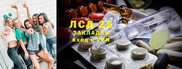 ГАЛЛЮЦИНОГЕННЫЕ ГРИБЫ Балахна