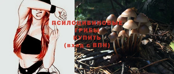 ГАЛЛЮЦИНОГЕННЫЕ ГРИБЫ Балахна