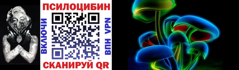 купить наркотики цена  Лыткарино  Псилоцибиновые грибы мицелий 